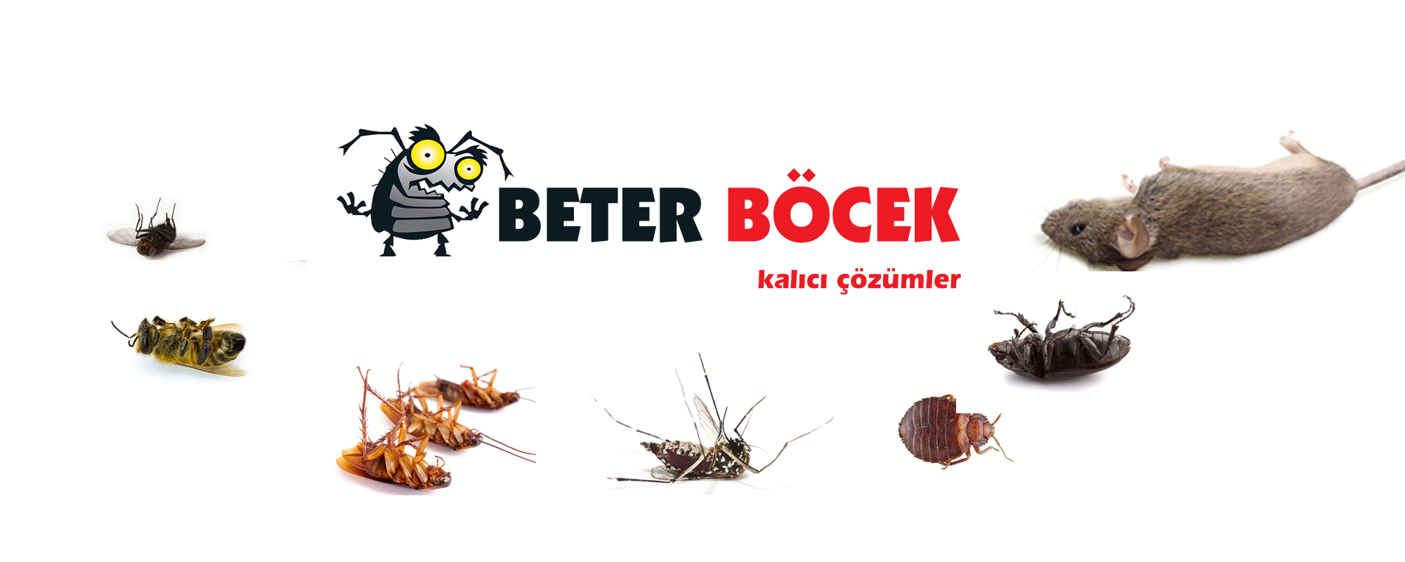 Ankara Böcek İlaçlama